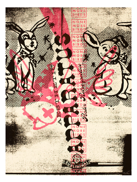 AESTHETIC APPARATUS: EXHIBITION PRINT