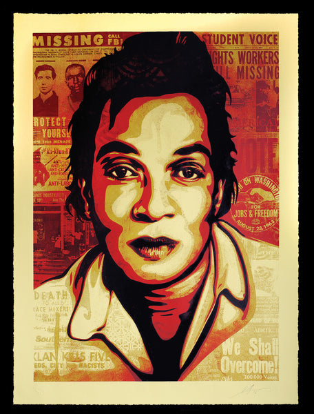 SHEPARD FAIREY: VOTING RIGHTS